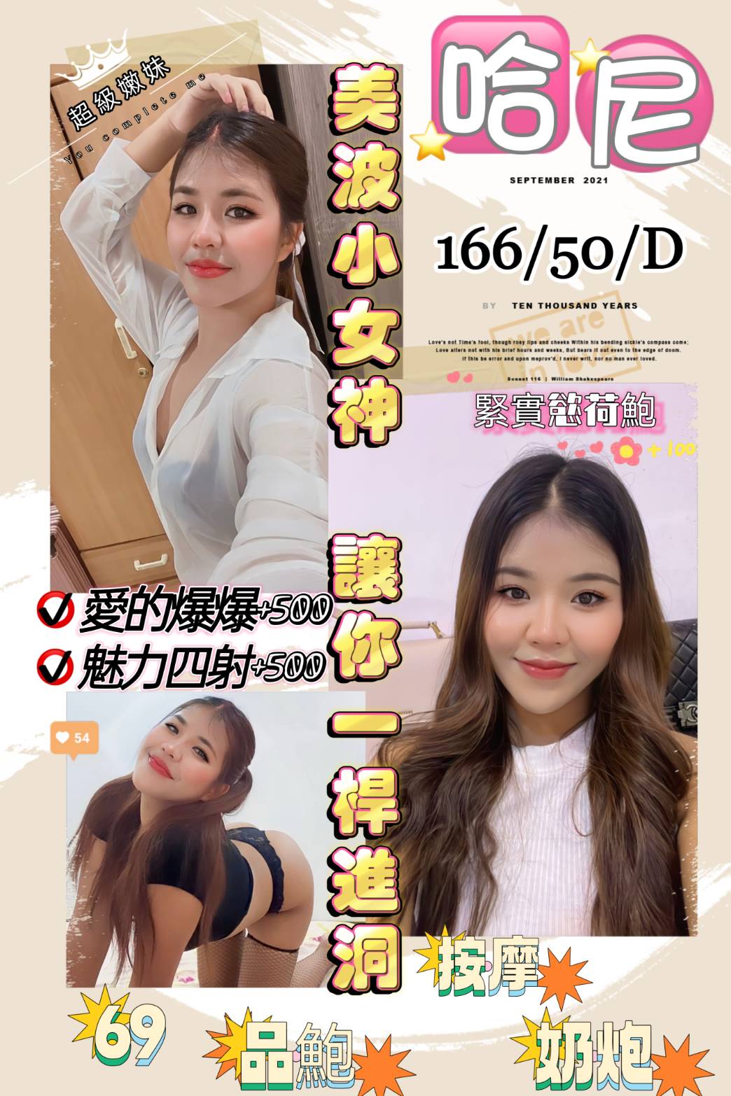 桃園定點茶:哈尼166/50/D 桃園定點茶:哈尼166/50/D