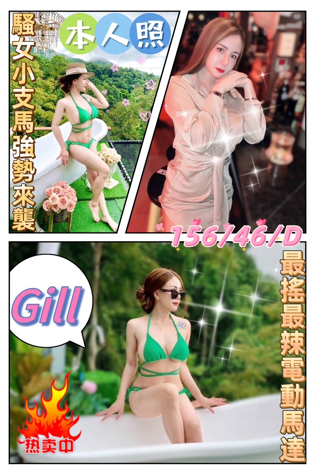 嘉義定點茶:Gill 156/46/D 嘉義定點茶:Gill 156/46/D