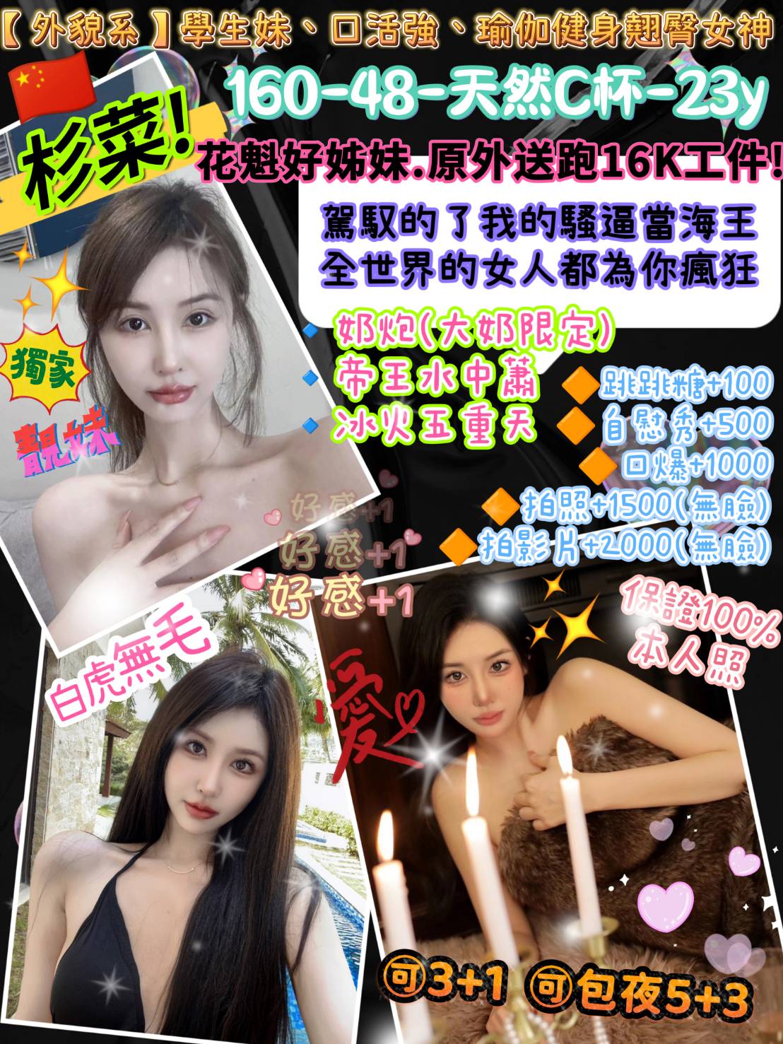台北定點茶:杉菜160/48/C/23Y 台北定點茶:杉菜160/48/C/23Y
