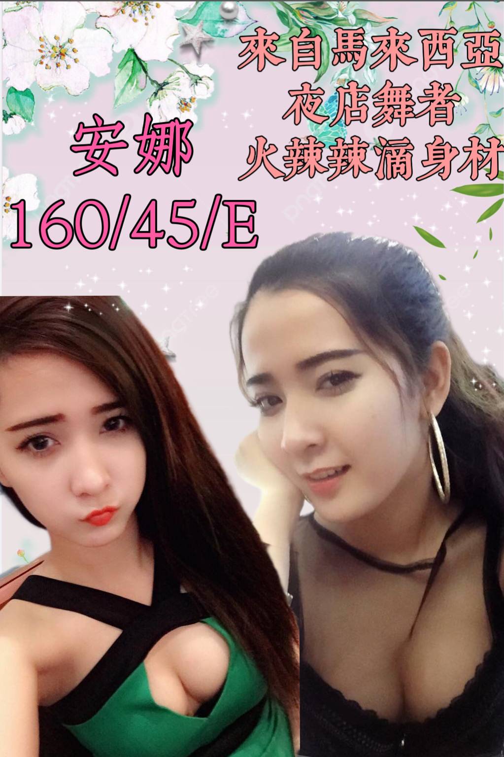 基隆定點茶:安娜160/45/E 基隆定點茶:安娜160/45/E