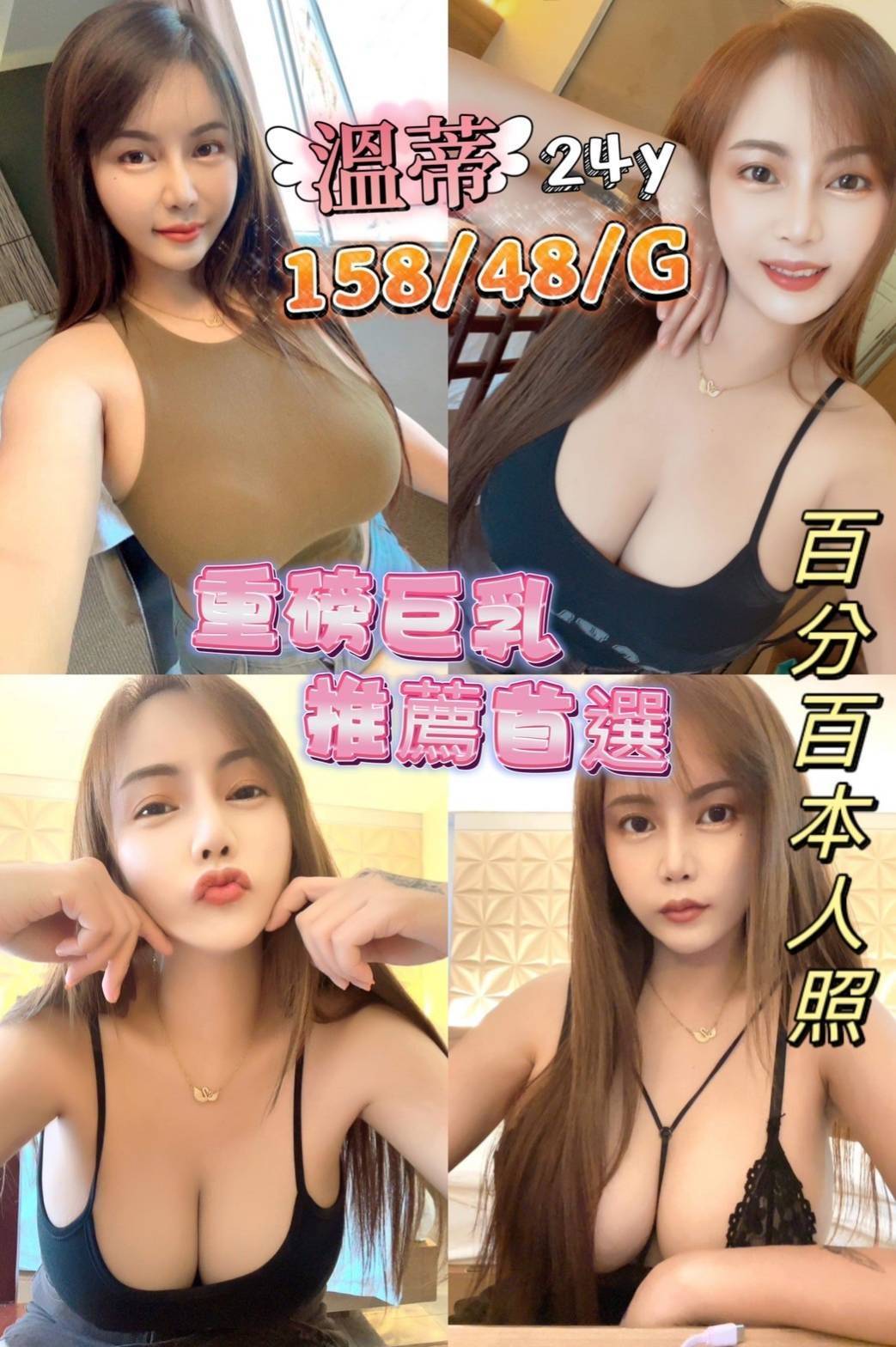 新北定點茶:溫蒂 158/48/G/24Y 新北定點茶:溫蒂 158/48/G/24Y