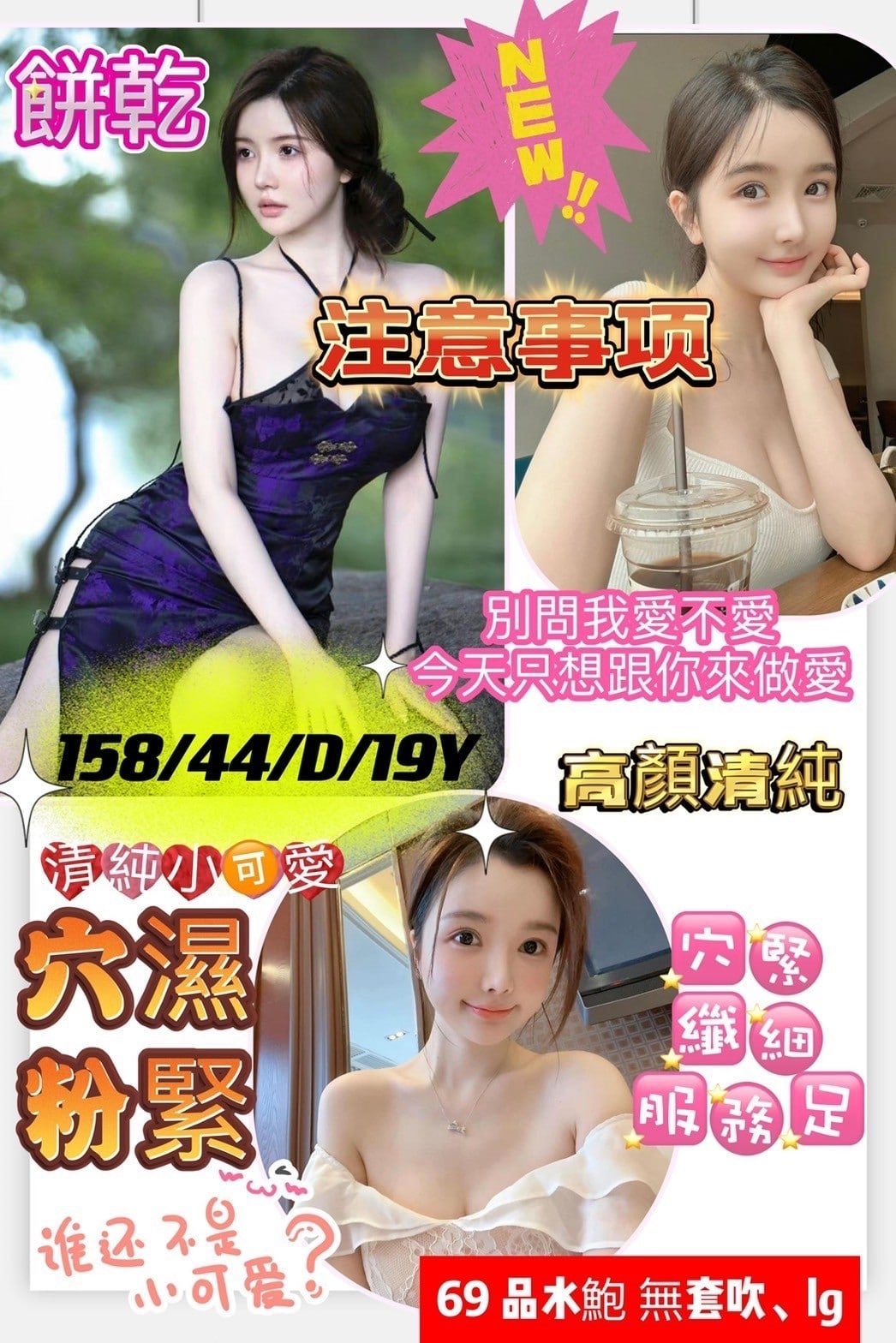 台南定點茶:餅乾 160/42/D 台南定點茶:餅乾 160/42/D