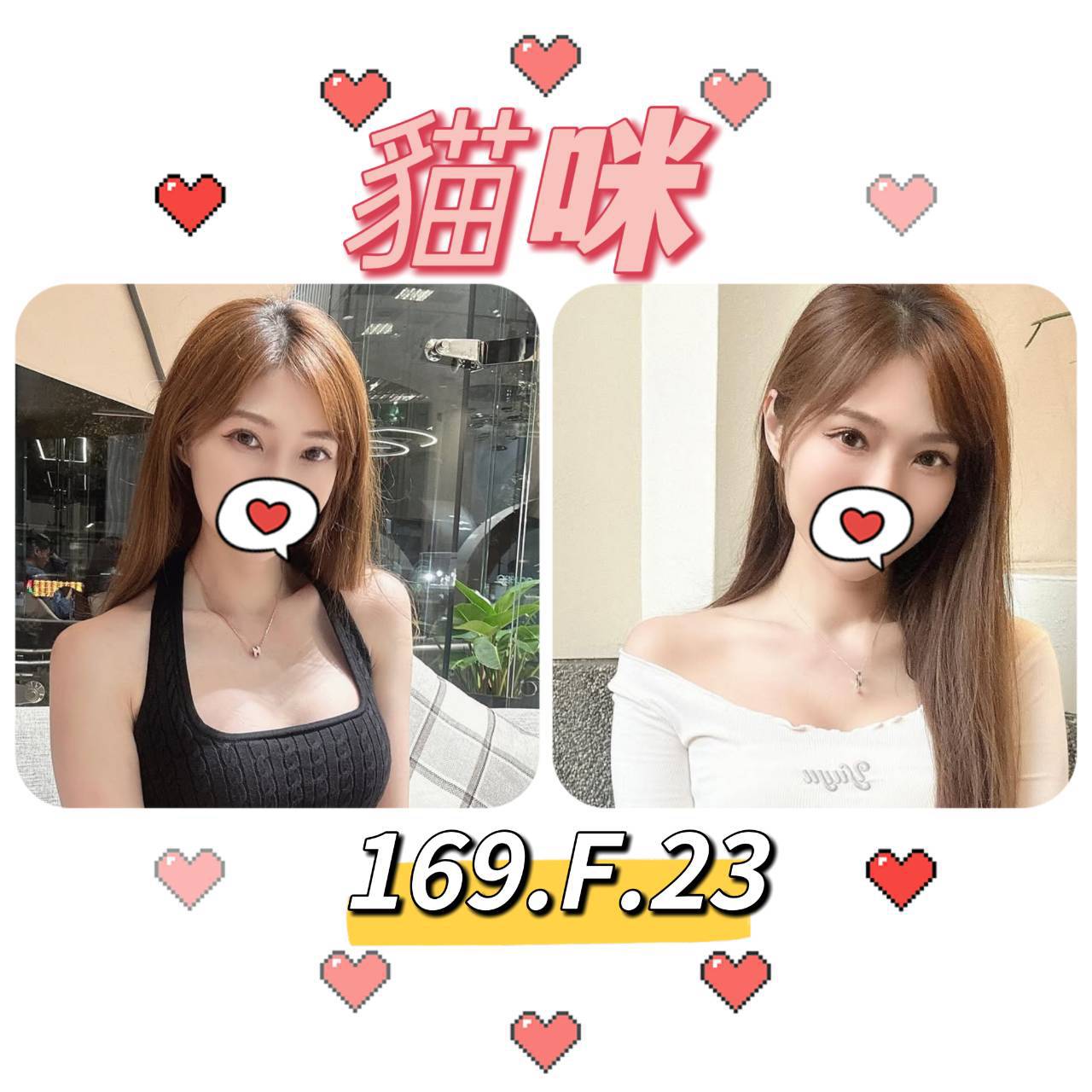 台北外送茶: 貓咪 169/F/23Y 台北外送茶: 貓咪 169/F/23Y