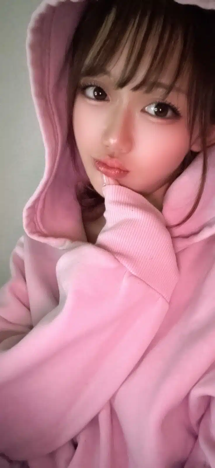 台北定點茶-桃香/155/45/23/E