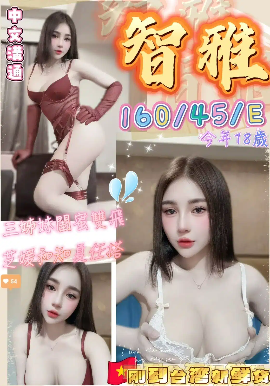 台中定點茶-智雅/160/45/18/E 台中定點茶-智雅/160/45/18/E