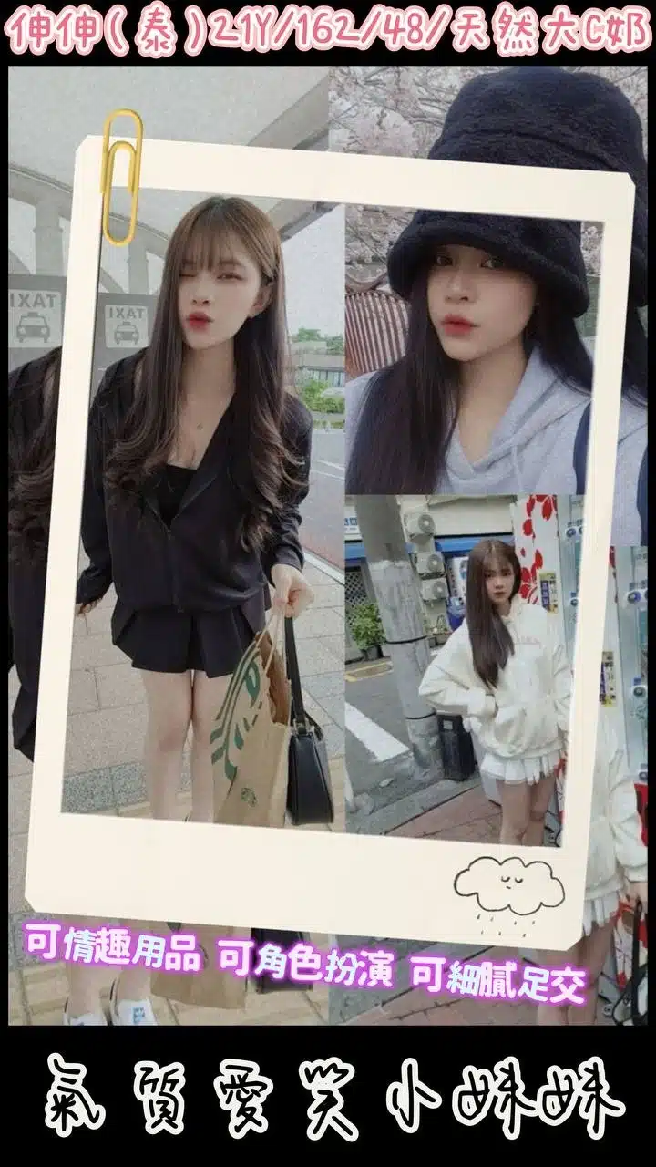 桃園定點茶-伸伸/162/48/21/C