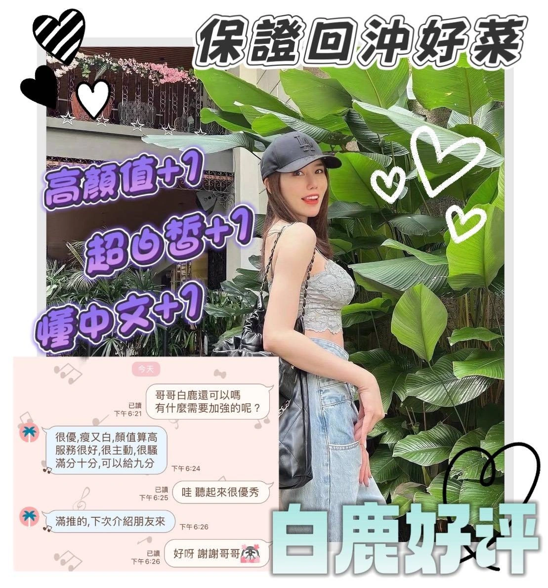 台南定點茶-白鹿/158/41/22/D