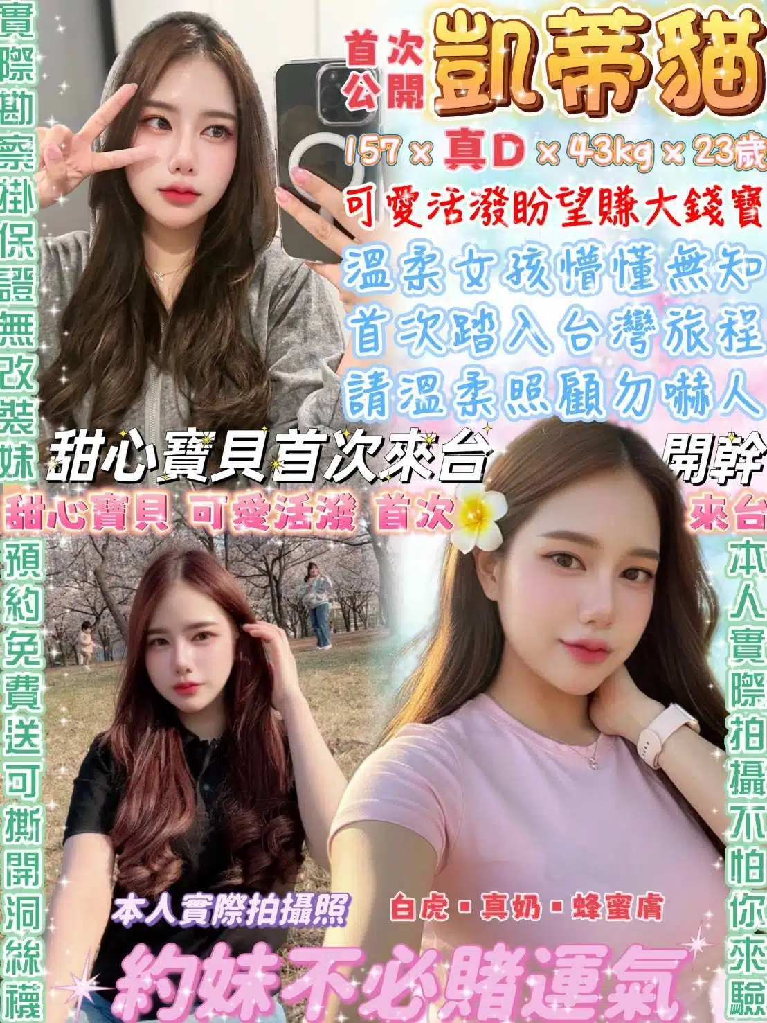 台北定點茶-凱蒂貓/157/43/23/D 台北定點茶-凱蒂貓/157/43/23/D