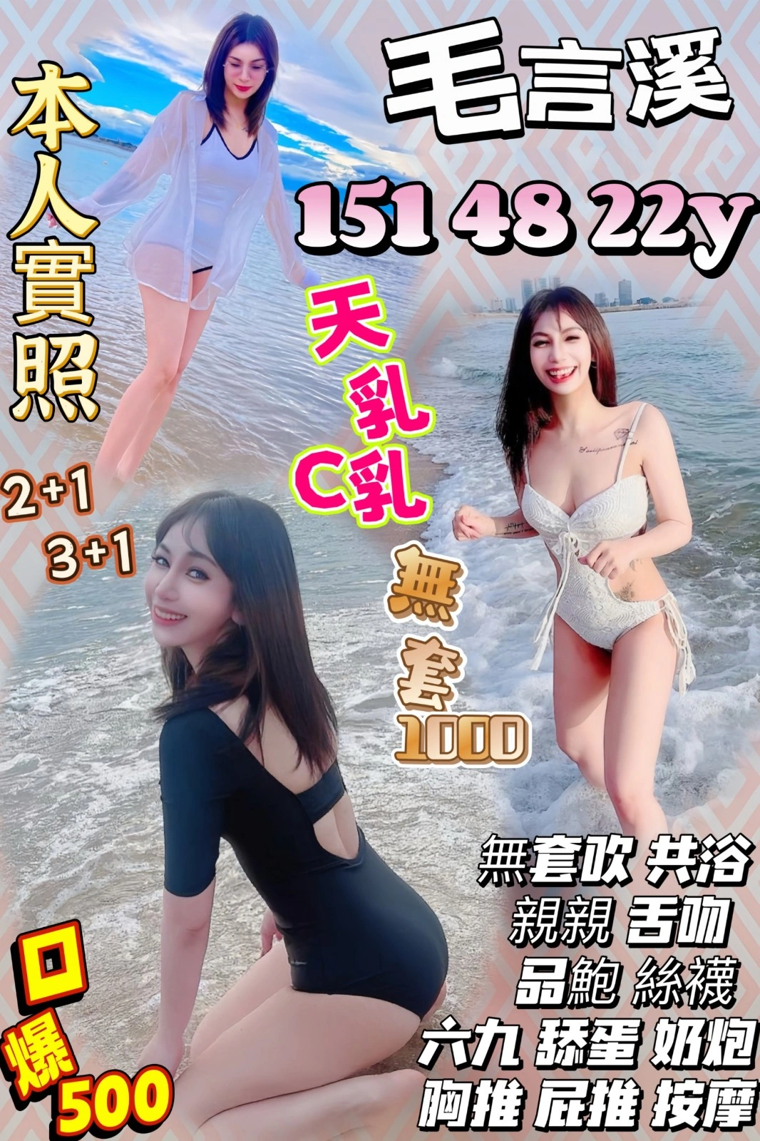 苗栗定點茶-毛言溪/151/48/22/C