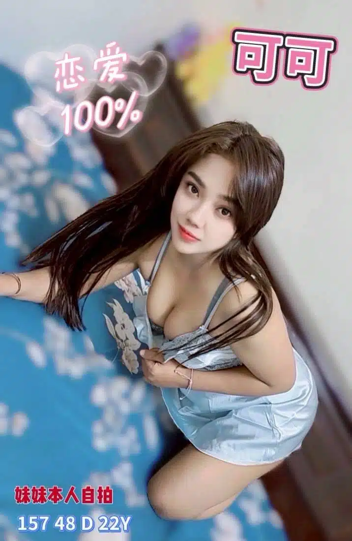 嘉義定點茶-可可/157/48/22/D