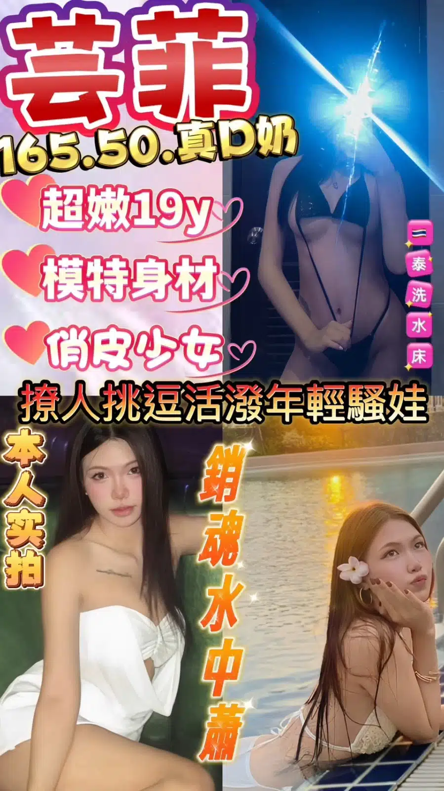 新竹定點茶-芸菲/165/50/19/D