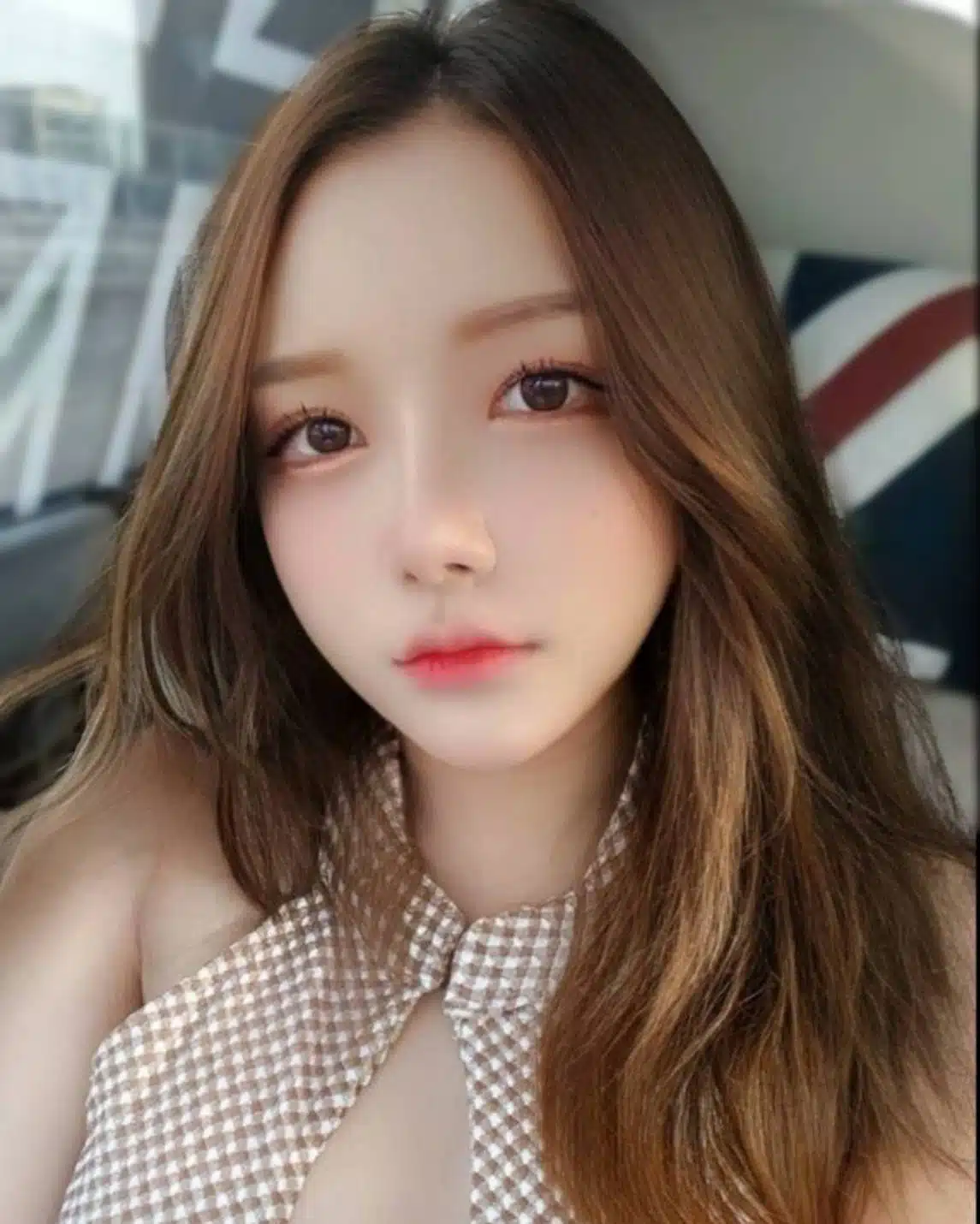 台北定點茶-軟糖/155/44/22/E