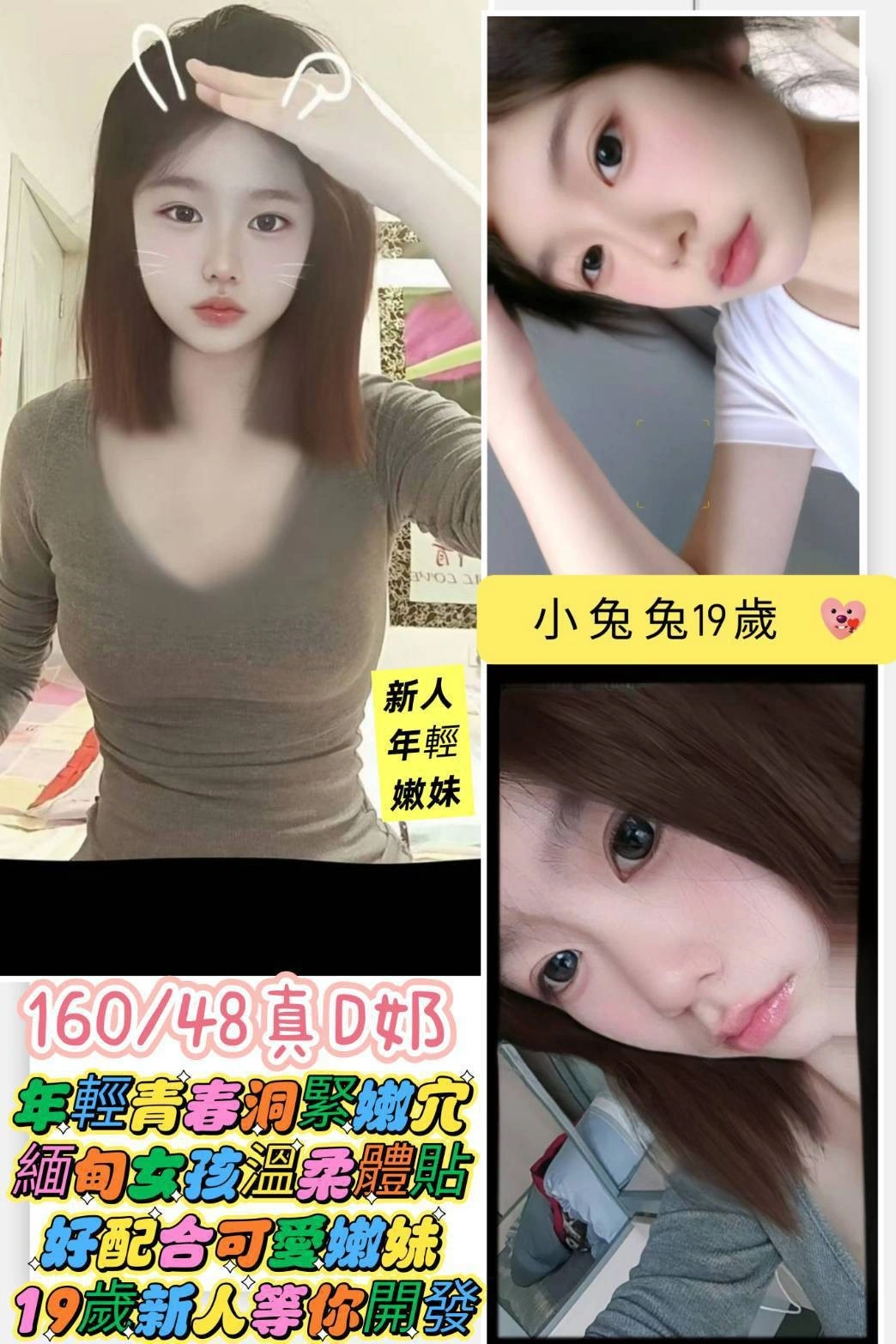 台南定點茶-小兔兔/160/48/19/C 台南定點茶-小兔兔/160/48/19/C